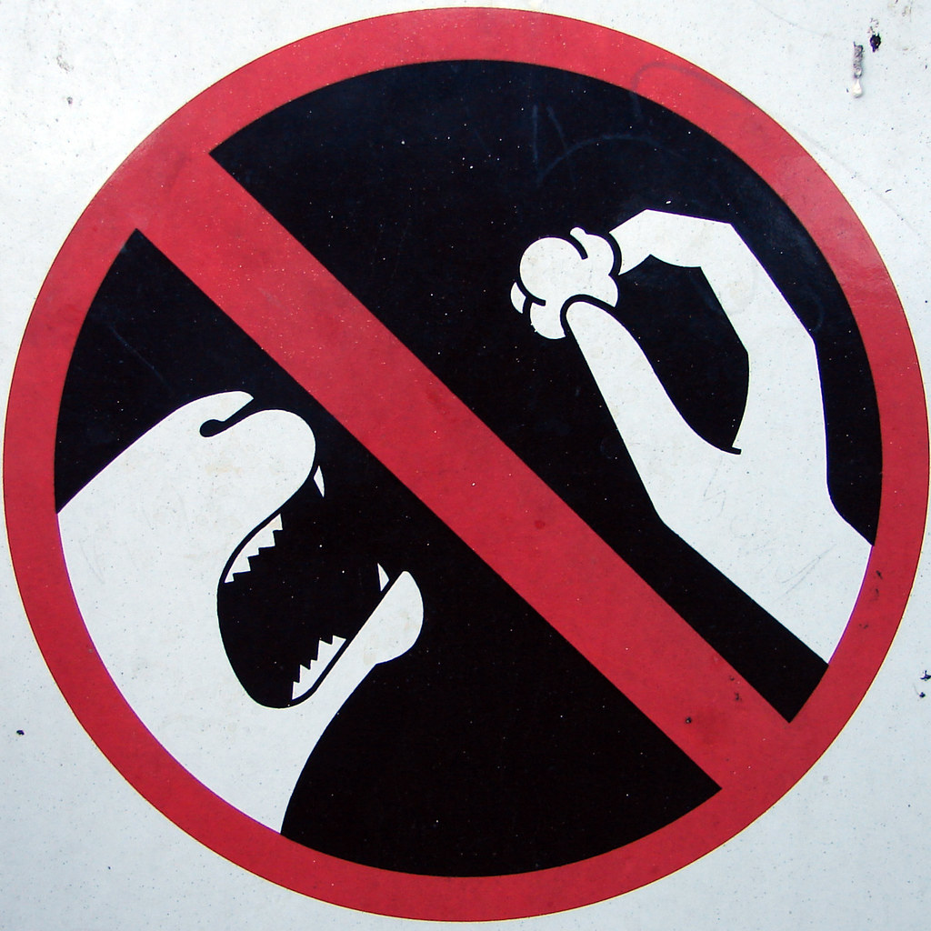 Do Not Feed The Animals Popcorn