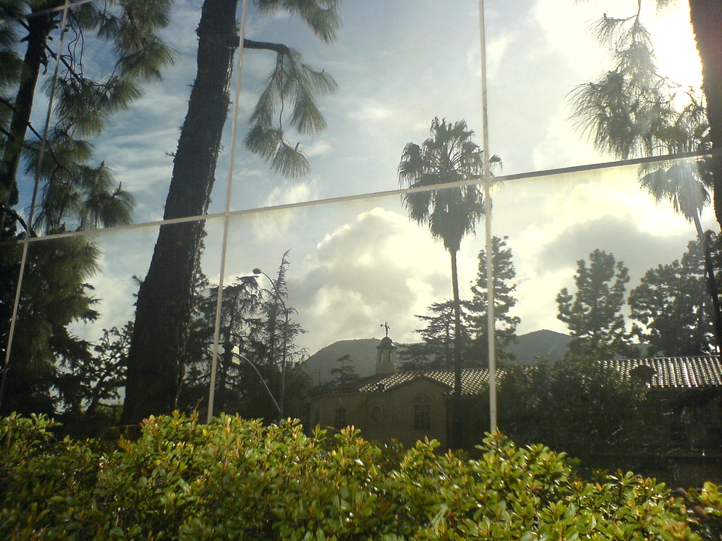 Reflecting on the Warner Lot