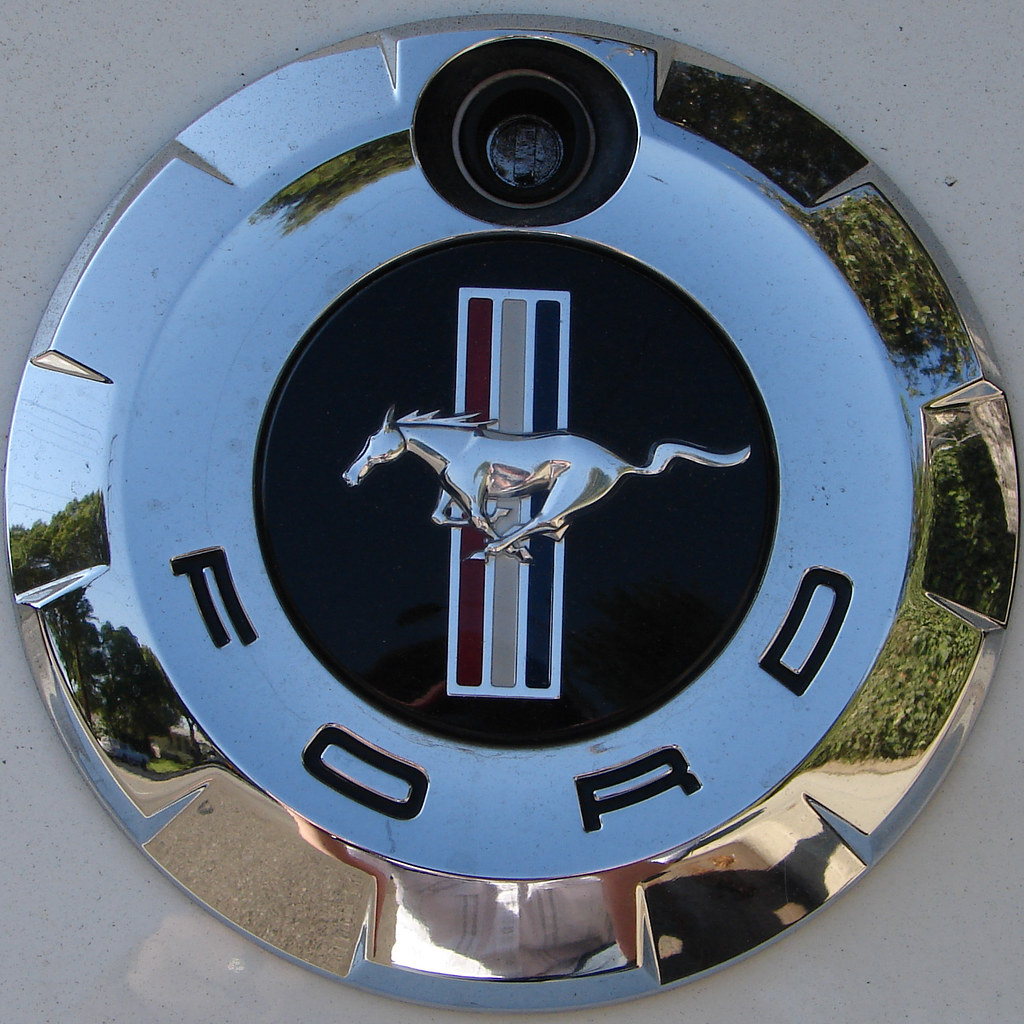 Mustang Squircle, Now