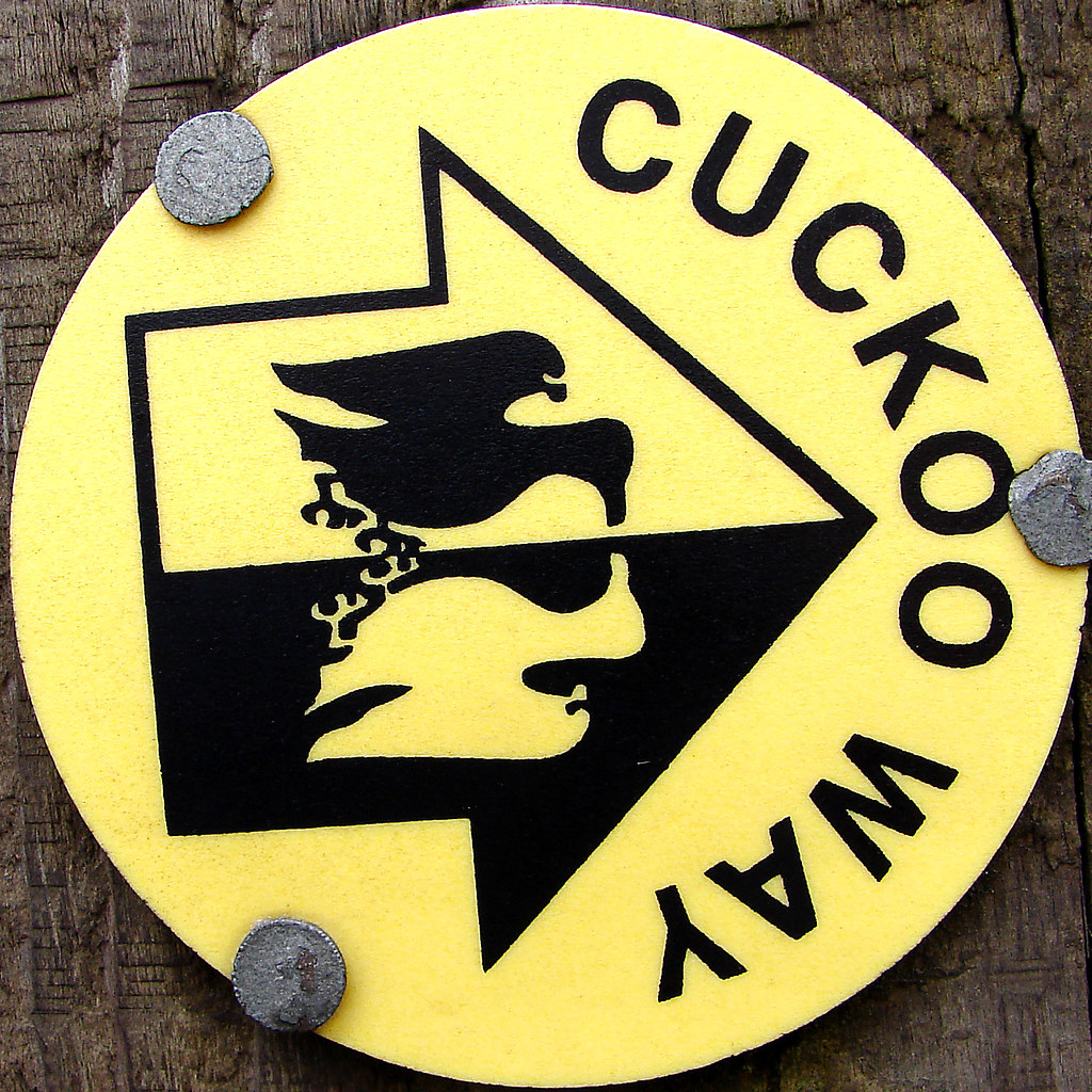 Cuckoo Way Squircle