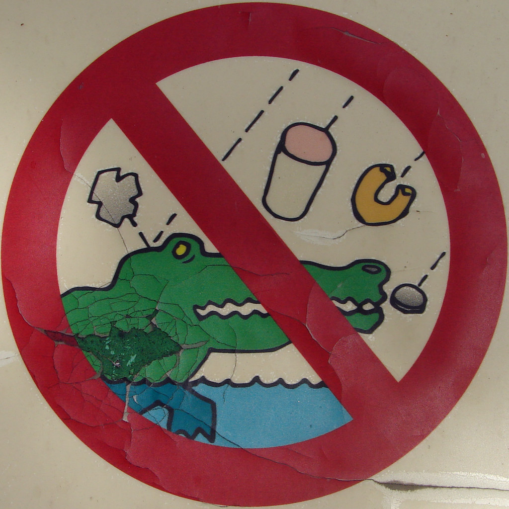 No Pelting The Alligators Squircle