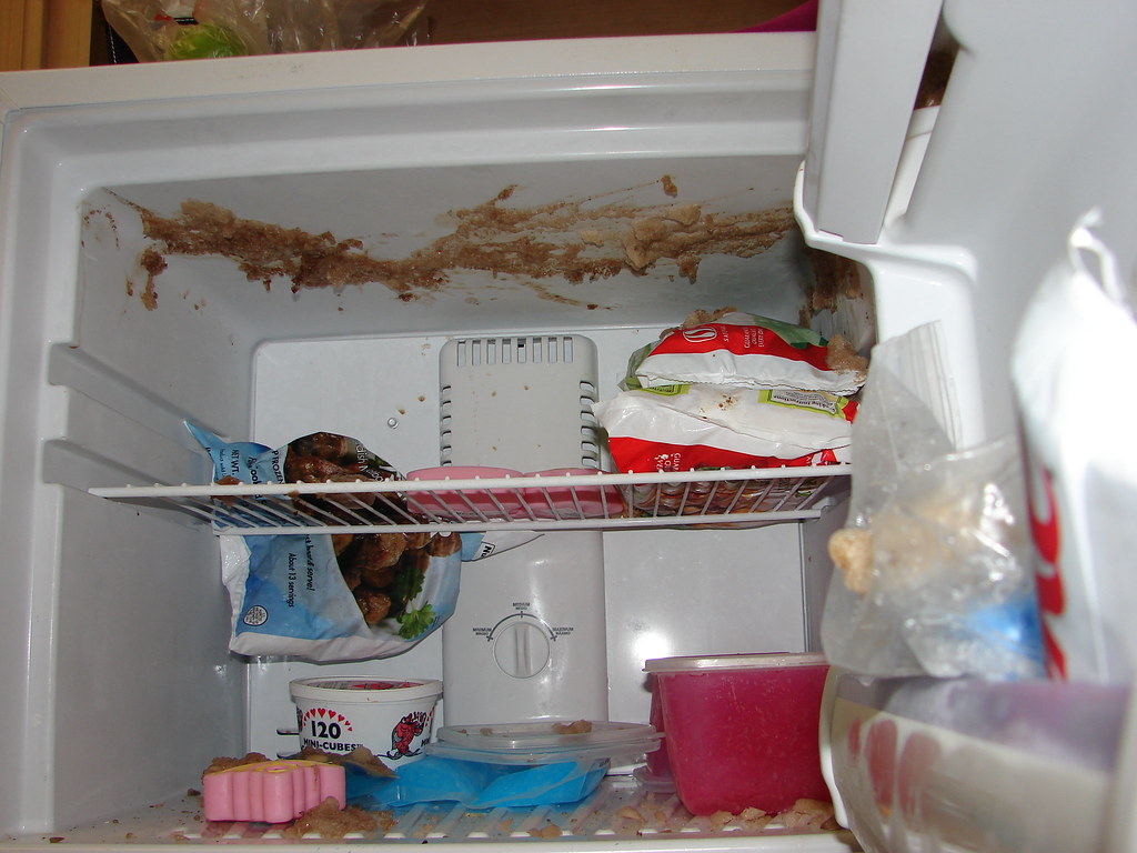 What's in my Freezer?