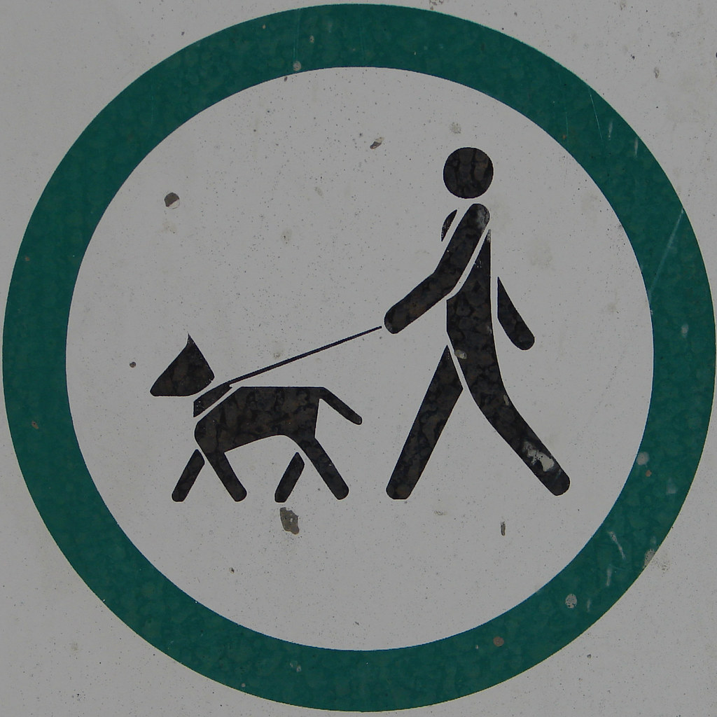 Dog Walking Squircle
