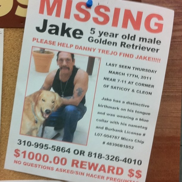 Please help Danny Trejo find his dog